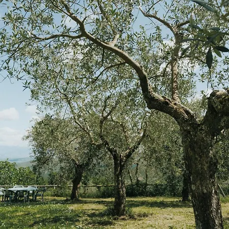 Borgo Farm stay