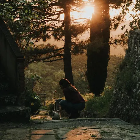 Borgo Alojamento de Turismo Rural *