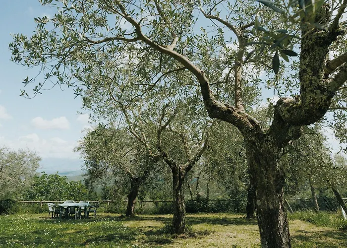 Borgo בית חווה